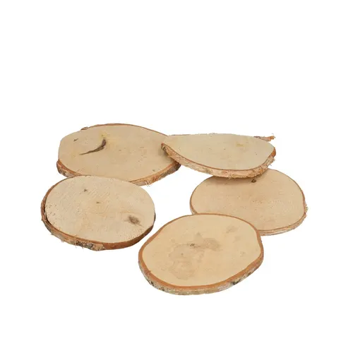 Sušený materiál drevo slice breza hnedá ⌀ 8 × 9 cm