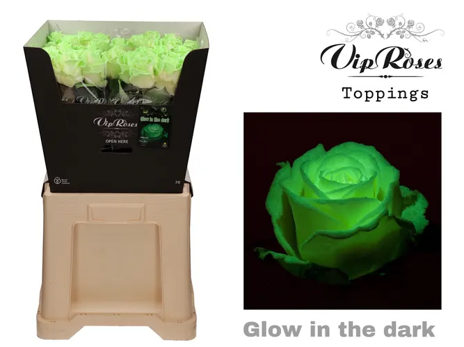R Gr Glow In The Dark Premium X20 70 cm