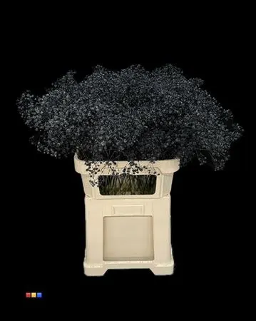 Gyps Xlence Black 80 cm