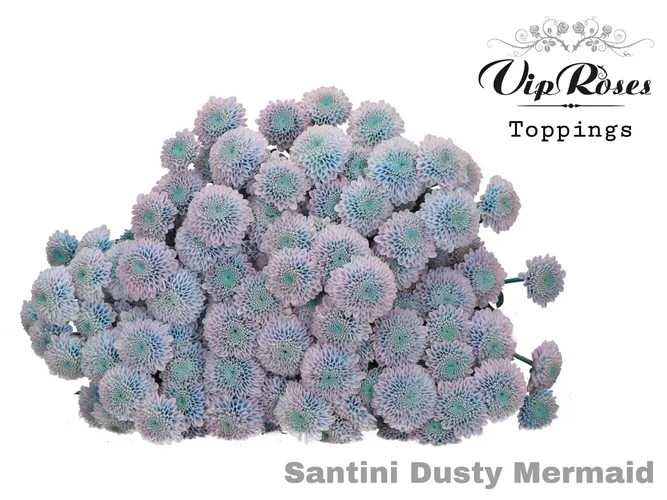 Chr S Dusty Mermaid 55 cm