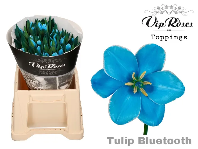 Tu En A Bluetooth 40 cm