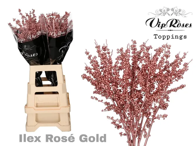 Ilex Rosé Gold 70 Cm 70 cm