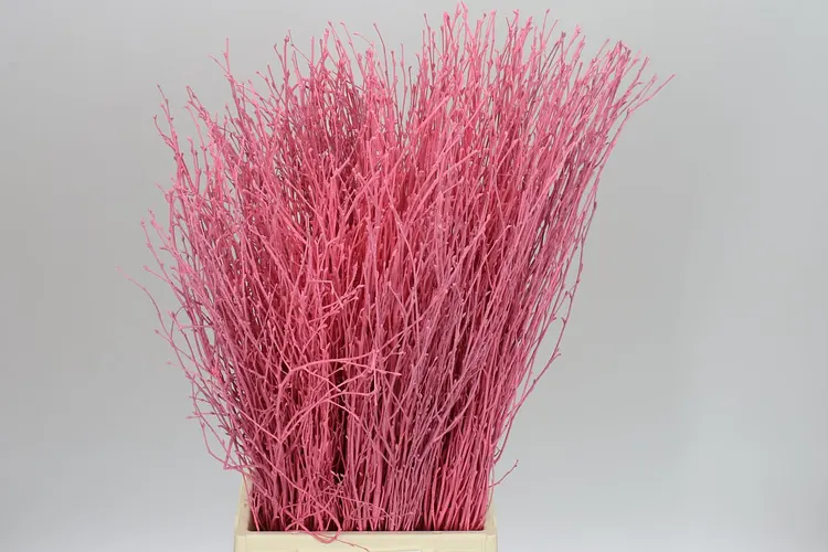 Berk Pink 70 cm