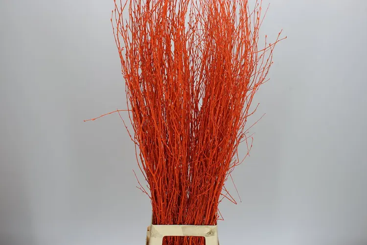 Berk Orange 120 cm