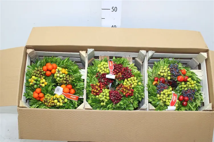 Sierfruit Krans X9 30 cm