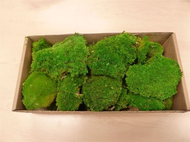 Pres. Polemoss Green 250 Gr