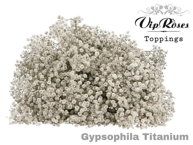 Gyps Pa Titanium 80 cm