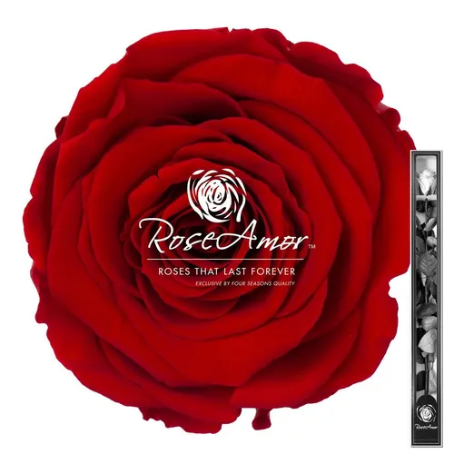 Stabilizovaná ruža na stonke ⌀ 6 cm 60 cm, červená RED02