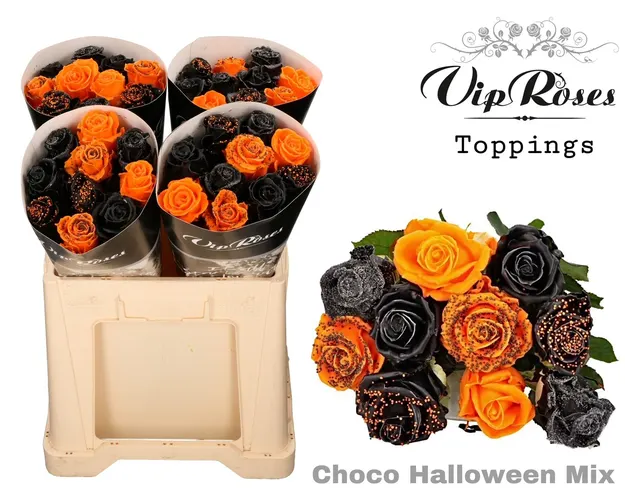 Ruža Choco Halloween mix (l 60cm) 60 cm