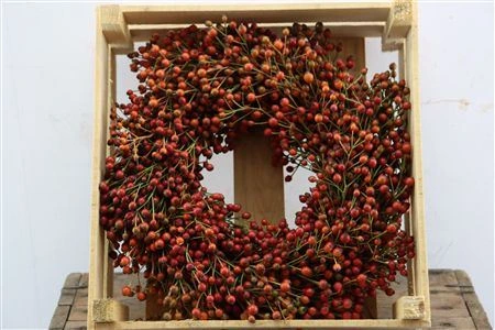 Wr Sierfruit Rozebottel Corallo Ora 30 cm