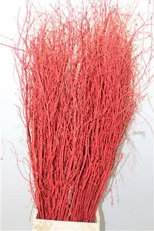 Berk Red 120 cm