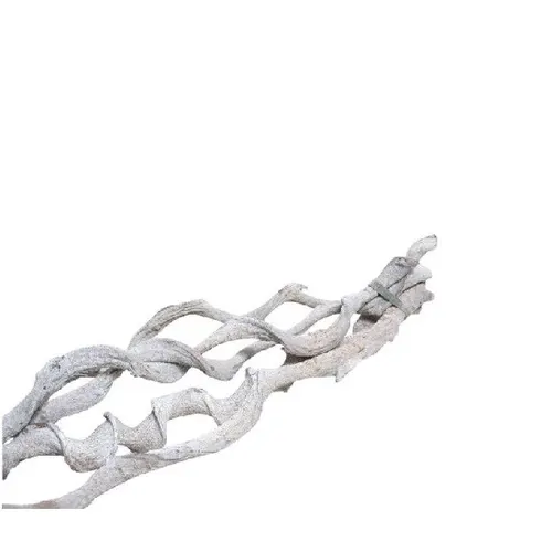 Sušený materiál Curly bunch biela 60 cm