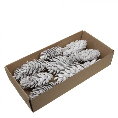 Šišky (Pine Cone)