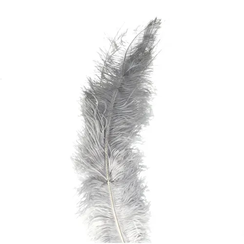 Perie Ostrich sivá 55 cm
