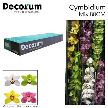 Cymb Tak Mix 80 cm