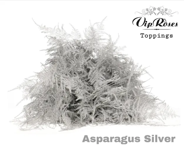 Asparagus / Asparágus (špeciál)
