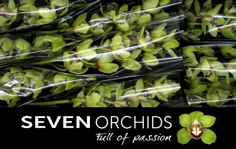 Orchidey (hlavný sklad)