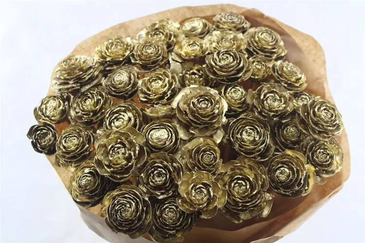 Cederroos Gold X40, sušené 50 cm