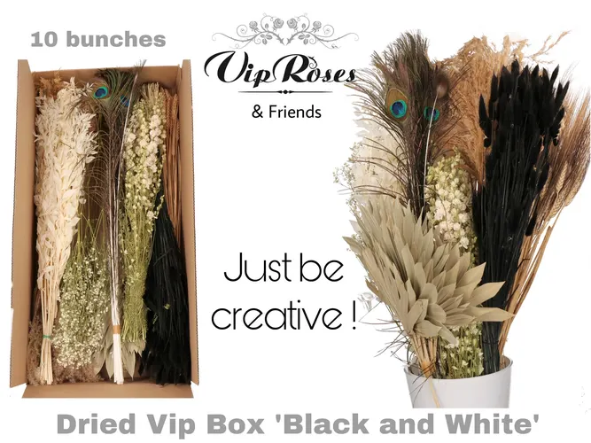 Vip Box Black & White, sušené 60 cm