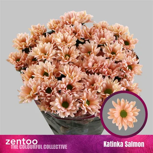 Chr T Katinka Salmon 70 cm