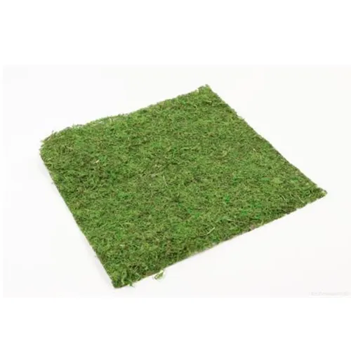 Sušený materiál mach hárok zelená 38 × 38 cm