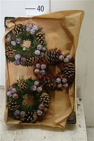 Wr Autumn Nature 20cm 20 cm