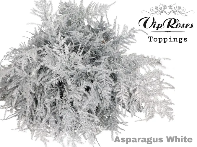 Asp Ov Extra Veren Wit 65 cm