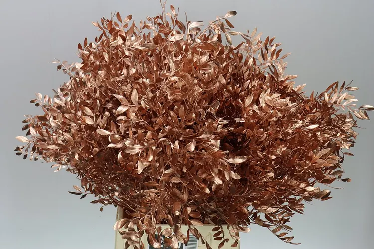 Pistache Short Copper 50 cm