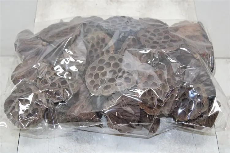 Dried Lotus D10/12cm X50