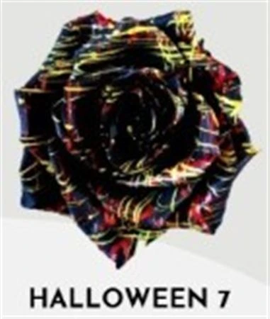 Ruža farbená Halloween 7, Ekvádor 50 cm