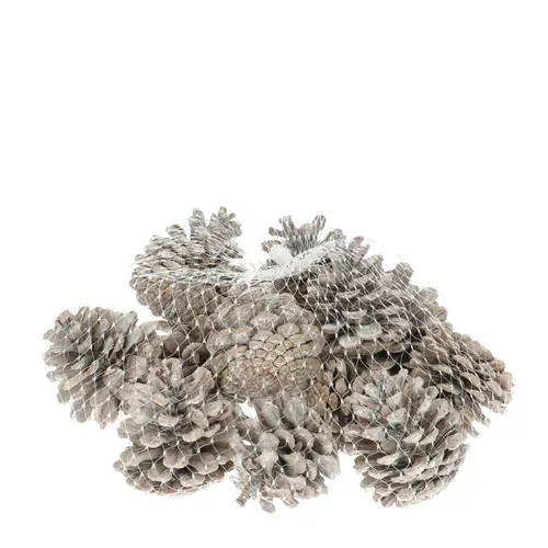 Šišky (Pine Cone)