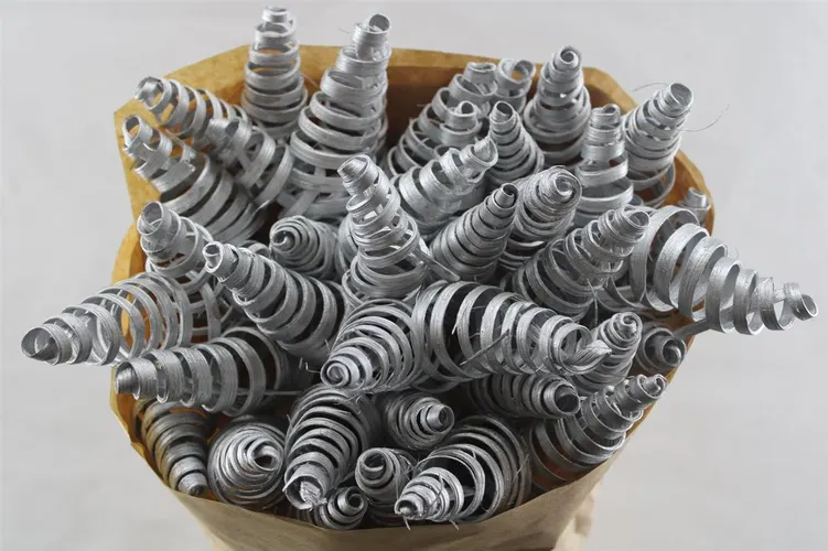 Puntspiraal Silver, sušené 50 cm