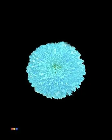 Chr G Superbowl Pastel Blue 80 cm
