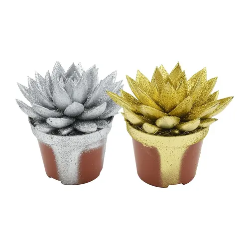 Echeveria Gold / Silver + Glitter črepník 10,5 cm