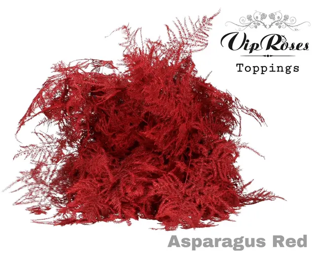 Asp Ov Extra Veren Red 65 cm