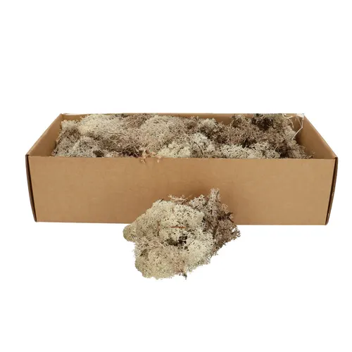 Stabilizovaný sobí mach, hnedý, 400 až 500 g