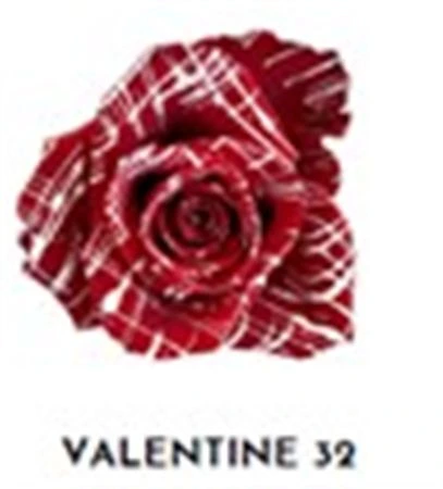 Ruža farbená Valentine 32, Ekvádor 50 cm