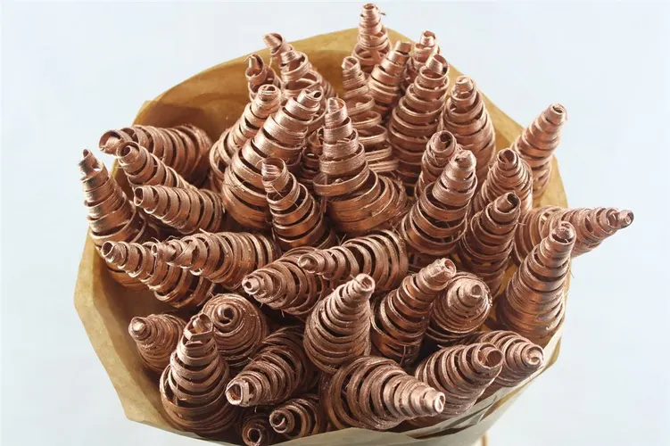 Puntspiraal Copper, sušené 50 cm