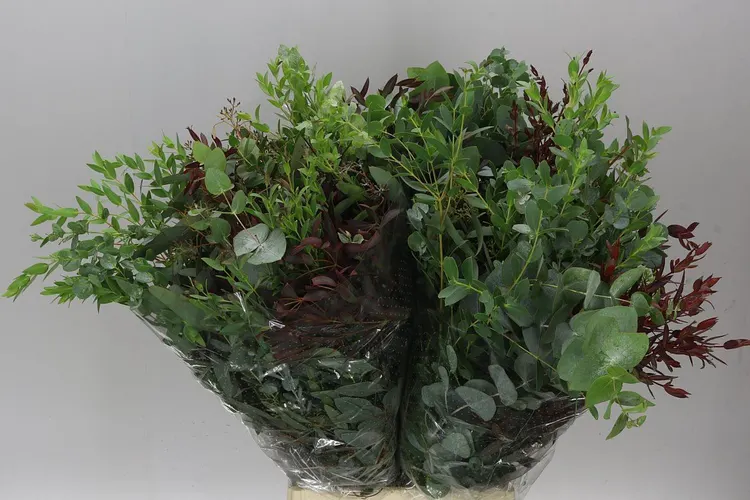 Blad mix 75 cm