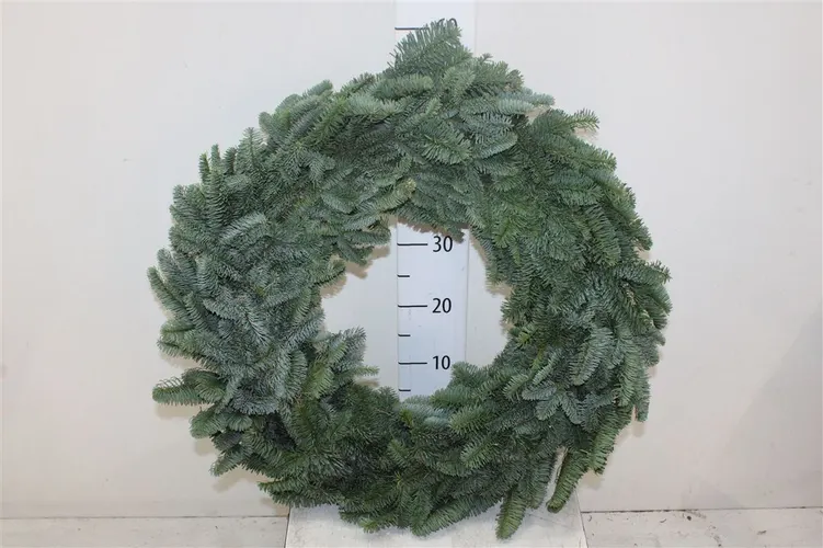 Wreath Half 60cm 60 cm