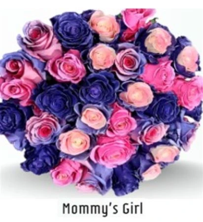 Ruža farbená Mommy's Girl, Ekvádor 50 cm