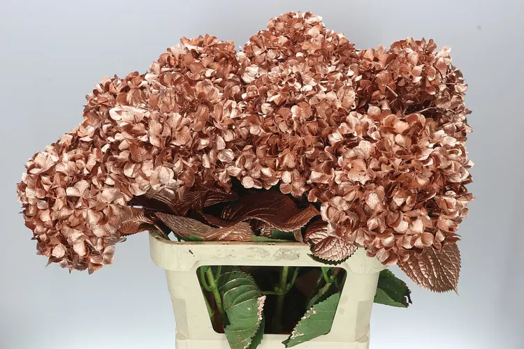Hydr Painted Copper 80 cm