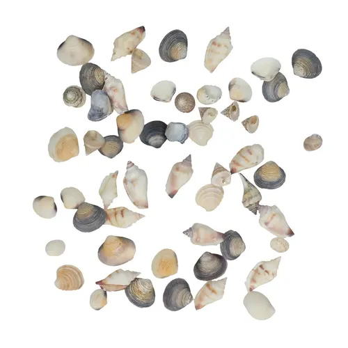 Mušľa mix 500 g