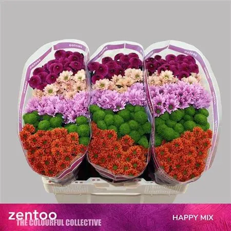 Sant Happy Mix 55 cm