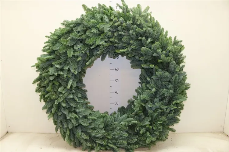 Wreath Round 100cm 100 cm