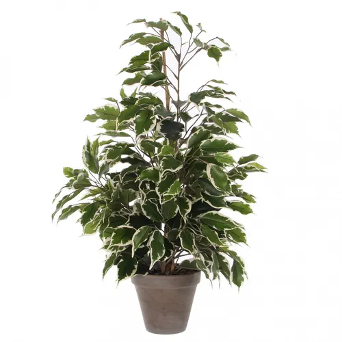 Umelé kvety a rastliny (Artificial Plants)