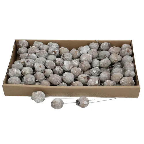 Sušený materiál BellGums/wire sivá