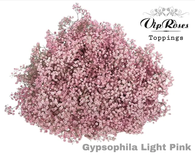 Gyps Pa Light Pink 80 cm