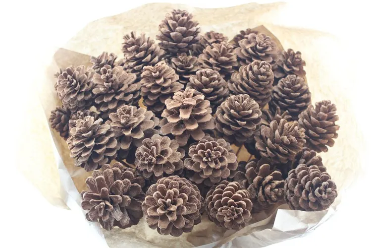 Sušená dekorácia (Dried Articles)