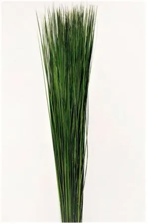 Steelgras 120 cm